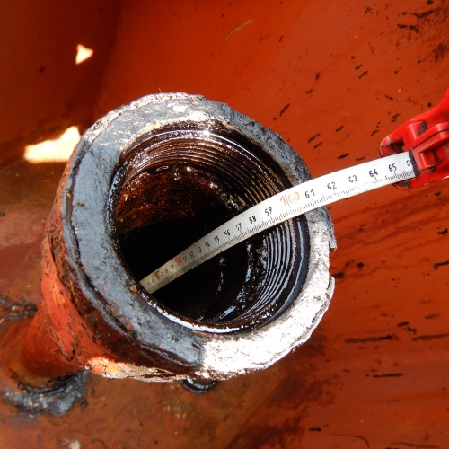 Bunker Stem Survey